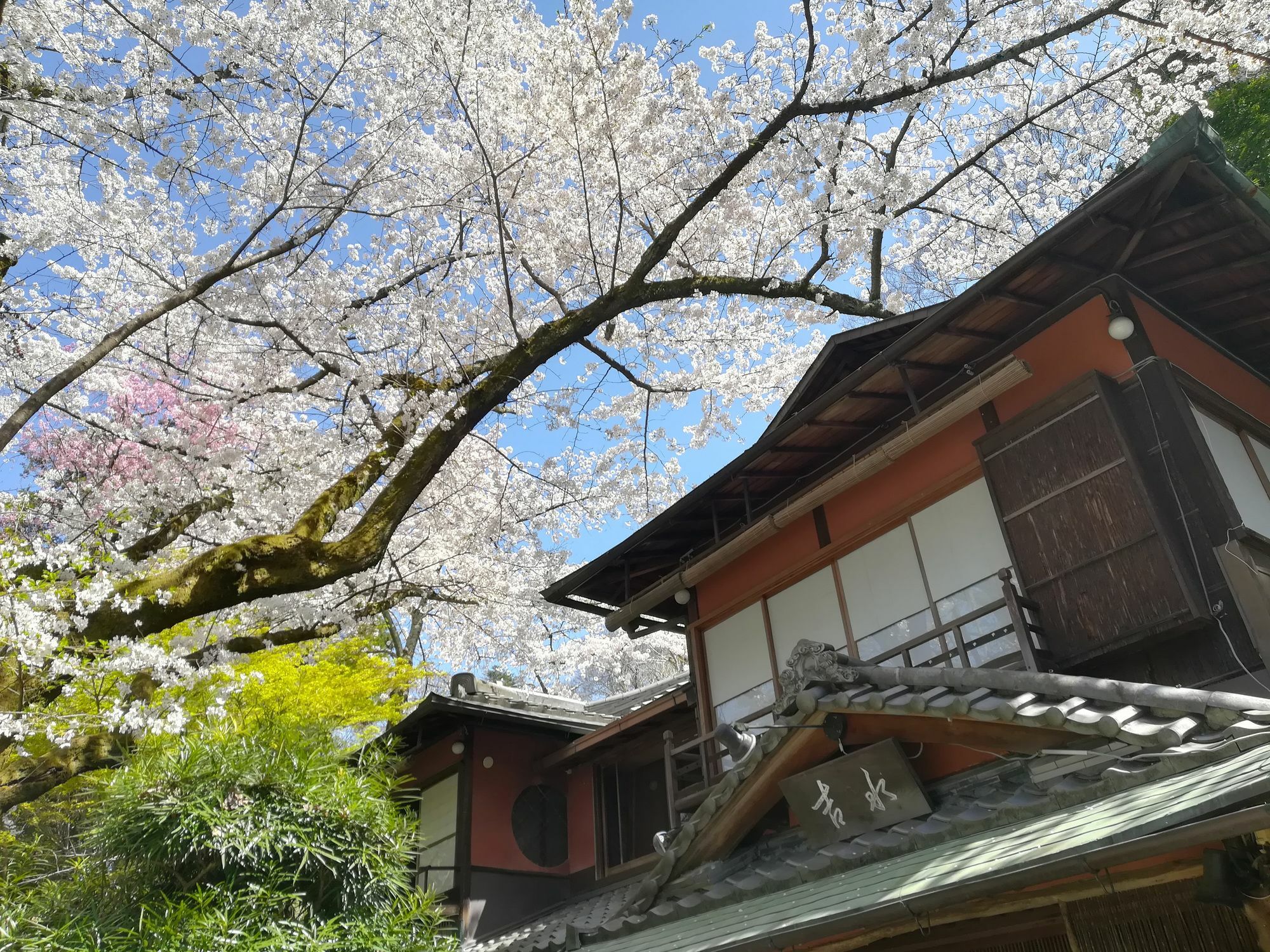 Japanese Yoshimizu 3* Quioto